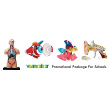 PROMOTIONAL PACKAGE  FOR SCHOOLS